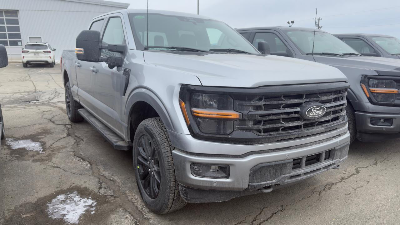 2025 Ford F-150  Photo