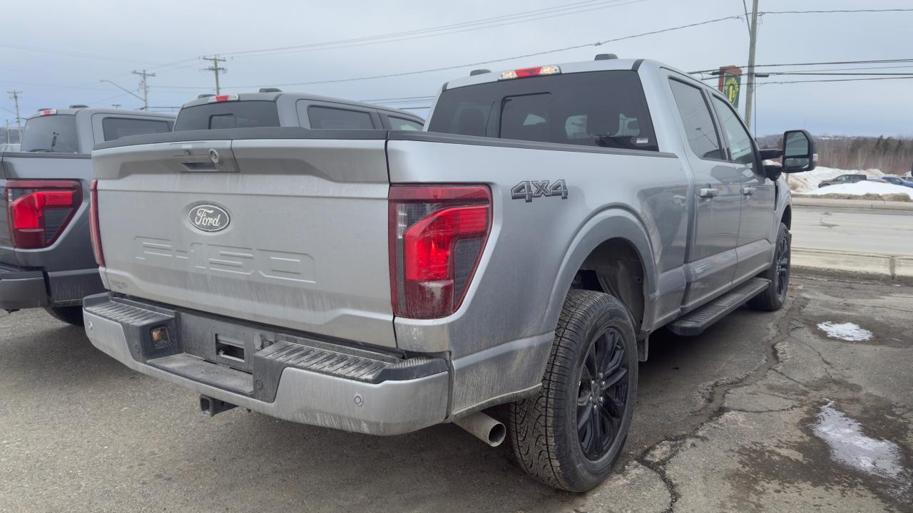 2025 Ford F-150  Photo