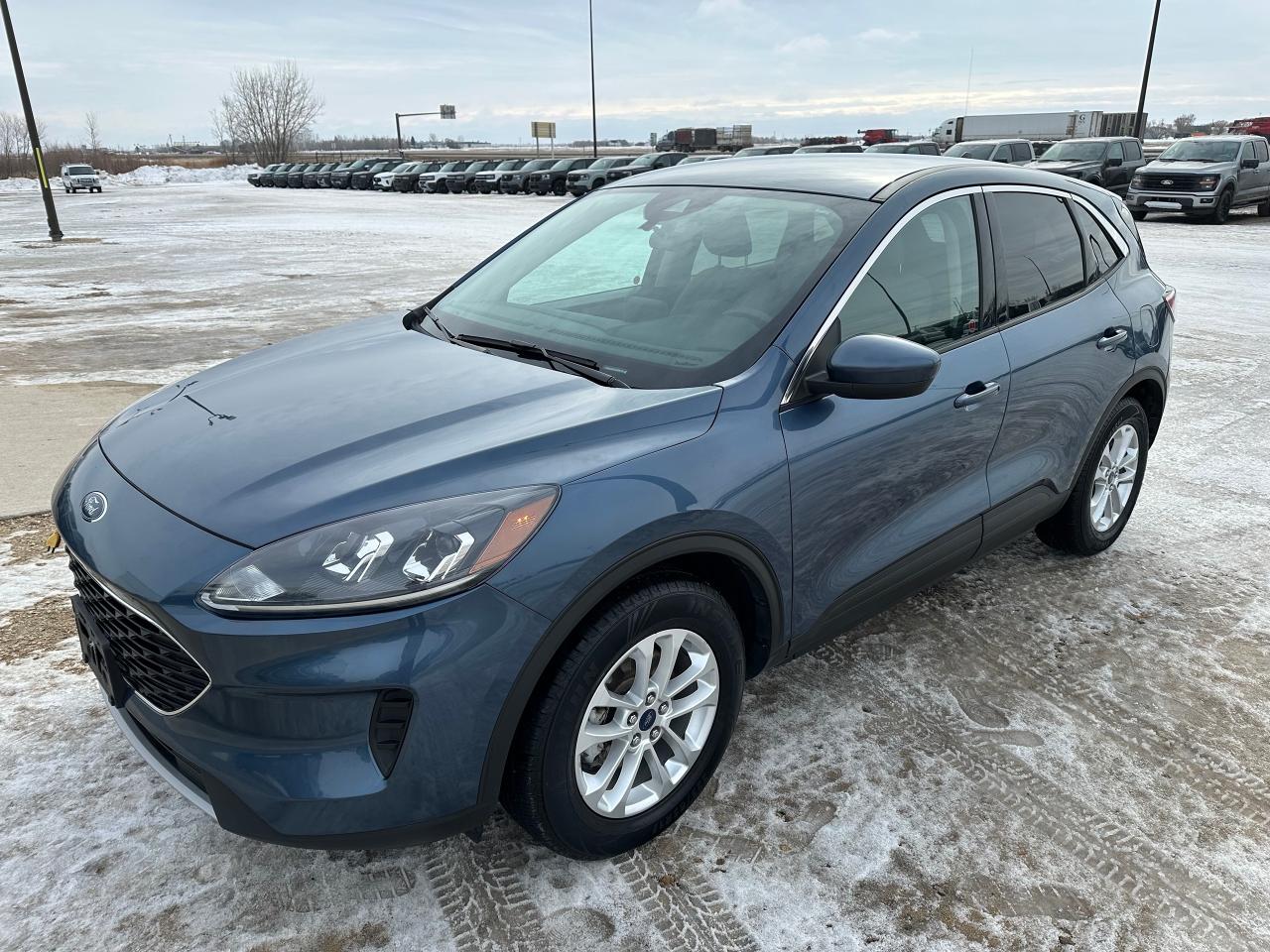 Used 2020 Ford Escape SE AWD for sale in Elie, MB