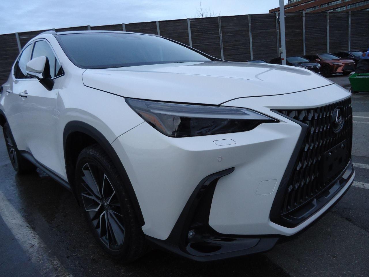 2023 Lexus NX EXECUTIVE AWD MARKE LEVINSON - Photo #2