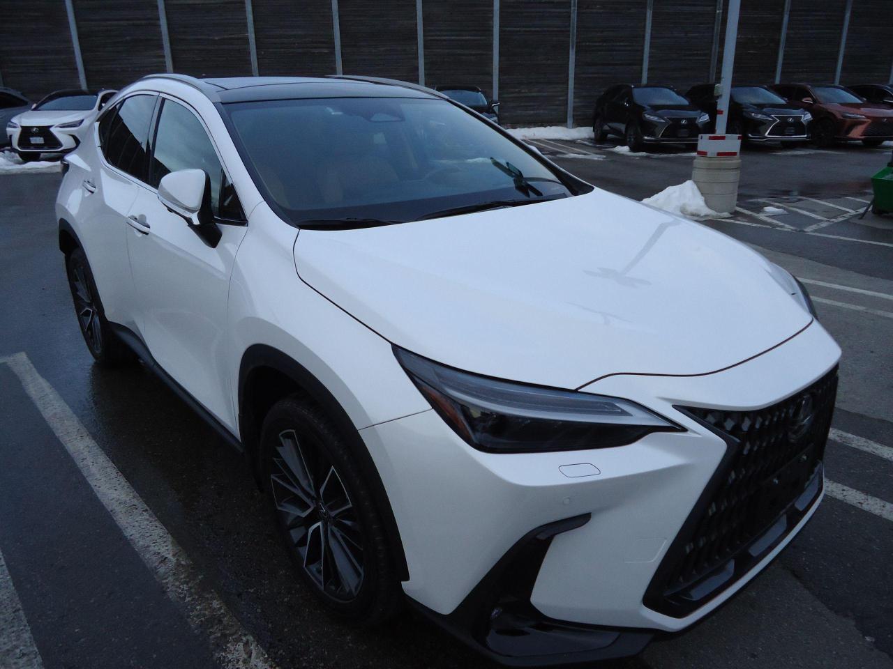 2023 Lexus NX EXECUTIVE AWD MARKE LEVINSON - Photo #3