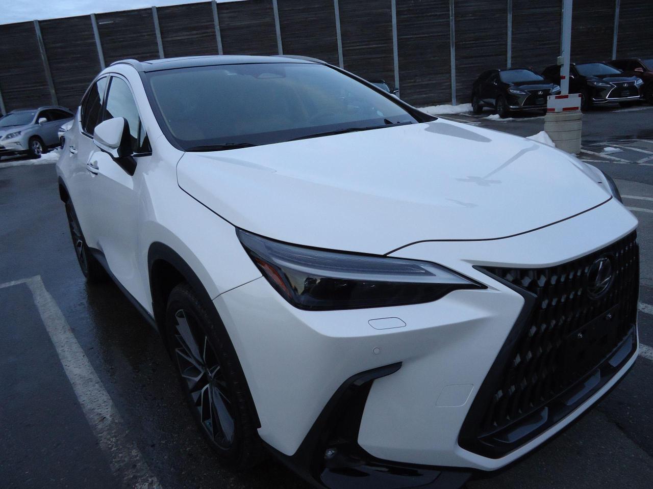 2023 Lexus NX EXECUTIVE AWD MARKE LEVINSON - Photo #9