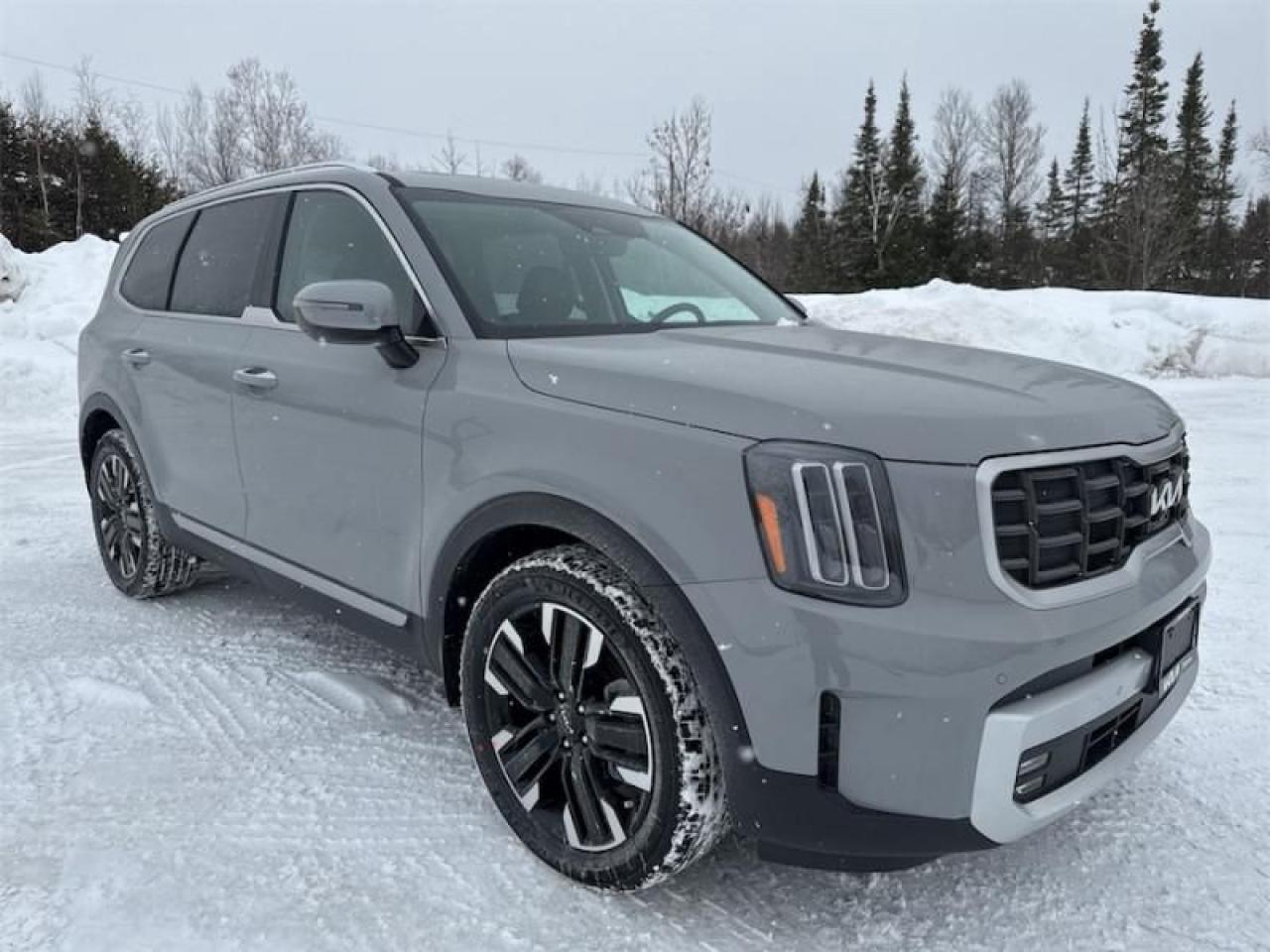 New 2025 Kia Telluride SX  Navigation GPS for sale in Timmins, ON