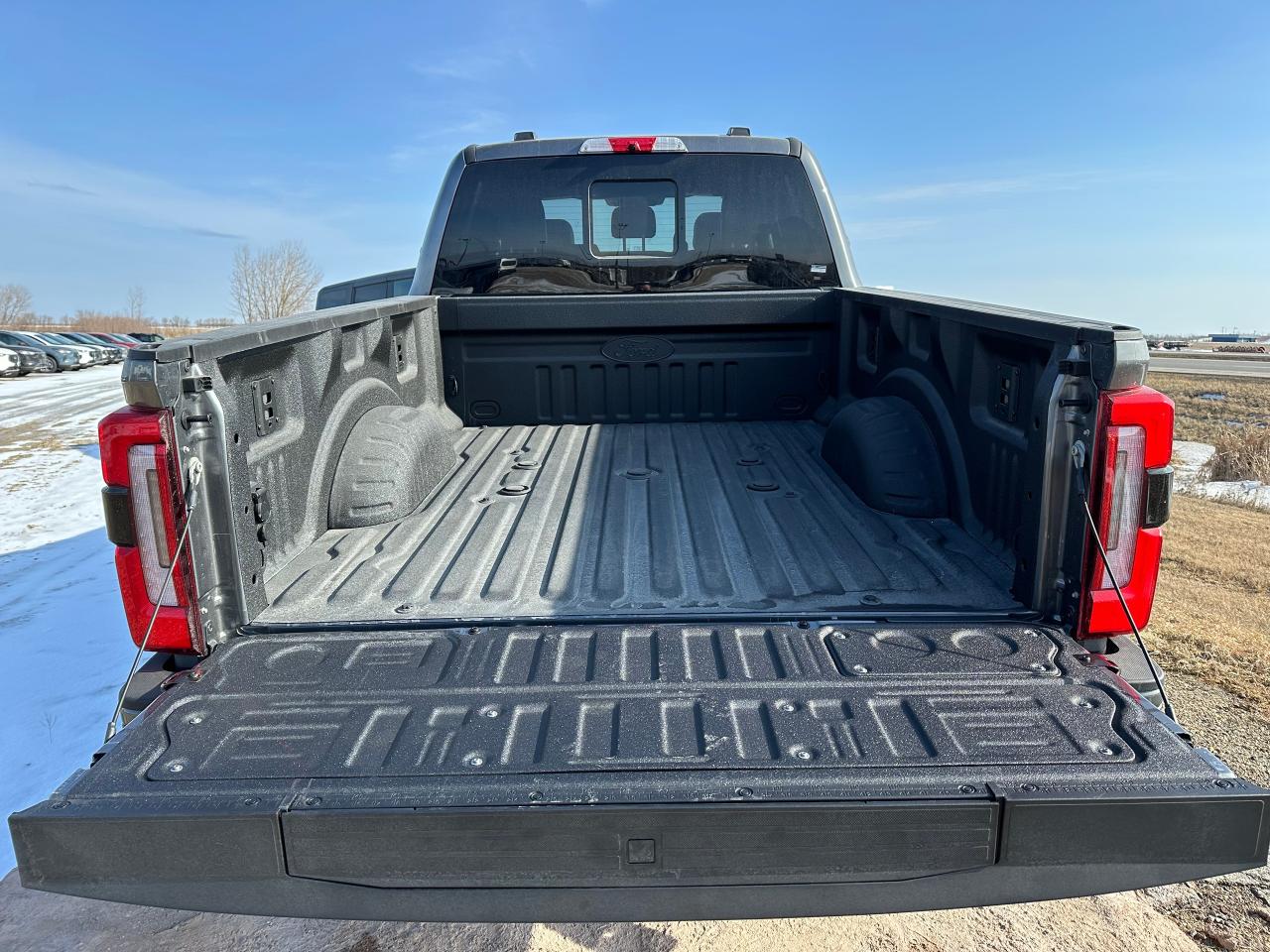 2025 Ford F-250 Super Duty SRW PLATINUM 4WD Crew Cab 6.75' Box 703A Photo5