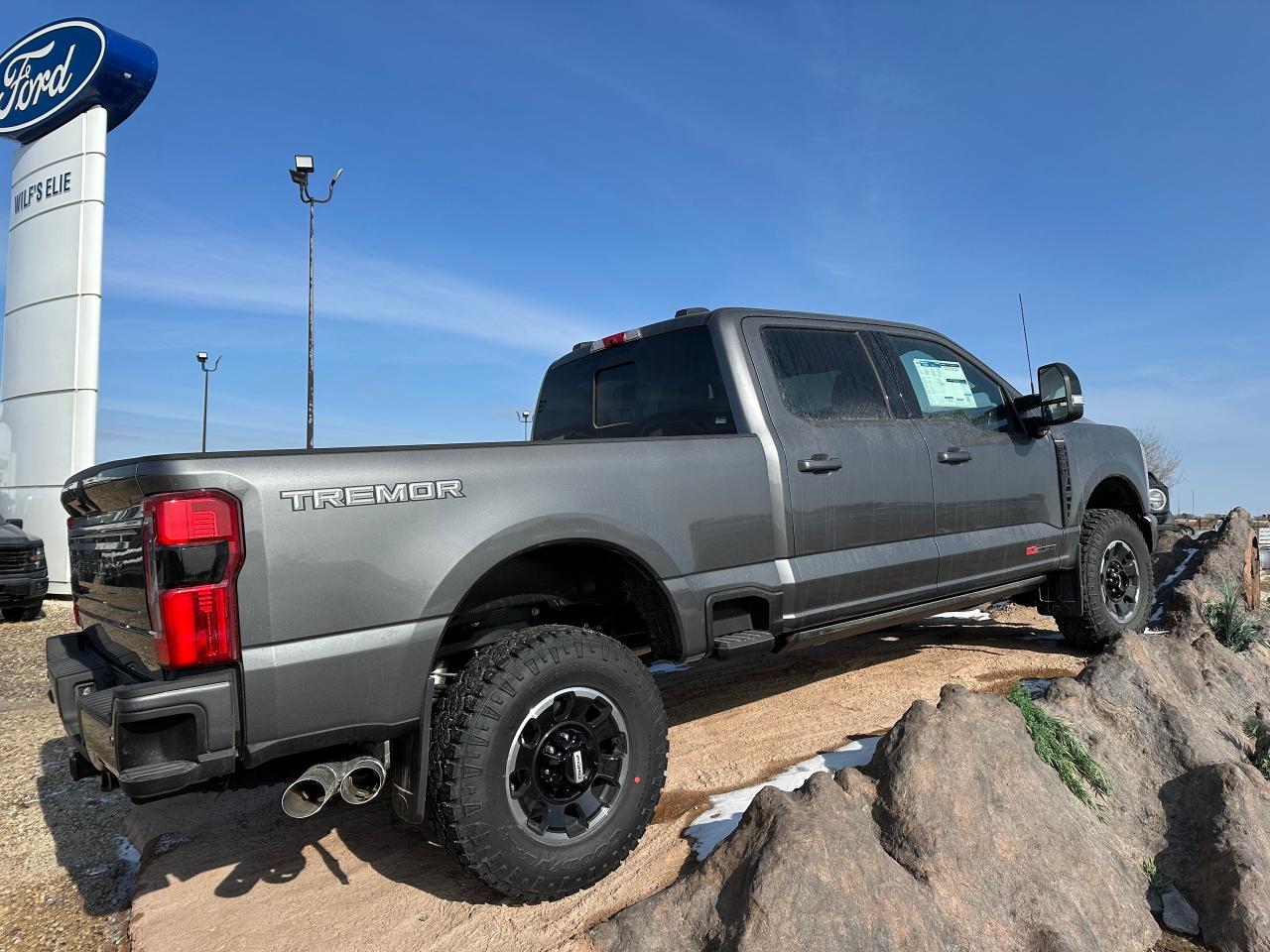 2025 Ford F-250 Super Duty SRW PLATINUM 4WD Crew Cab 6.75' Box 703A Photo5