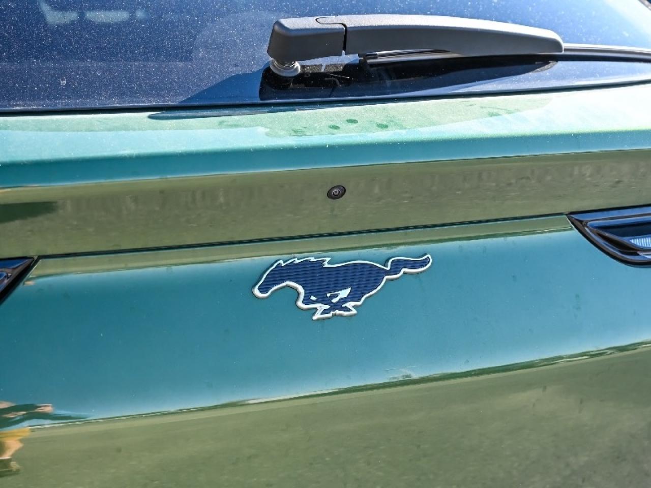 2025 Ford Mustang Mach-E Select Photo