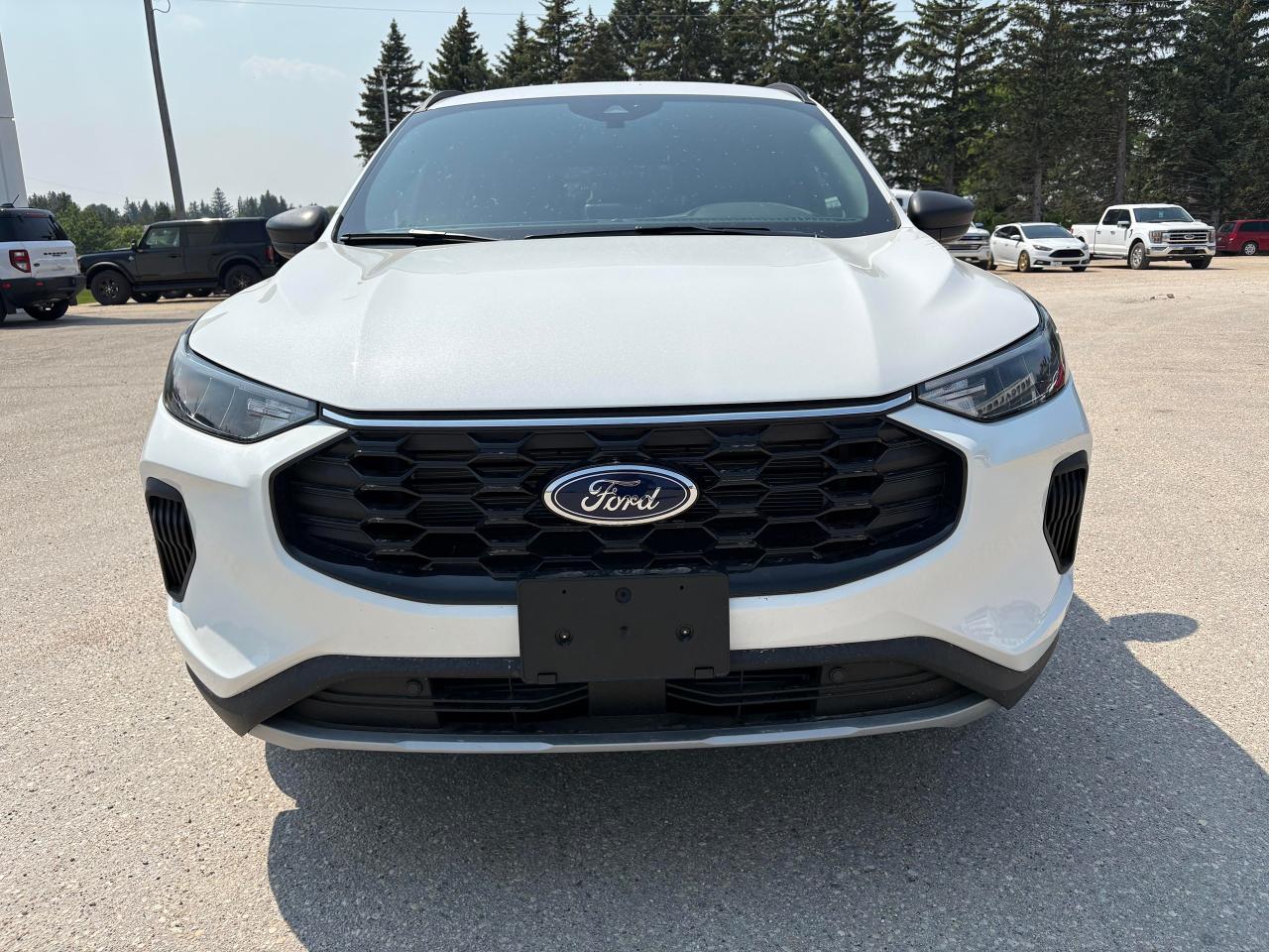 2025 Ford Escape ST-Line AWD Photo