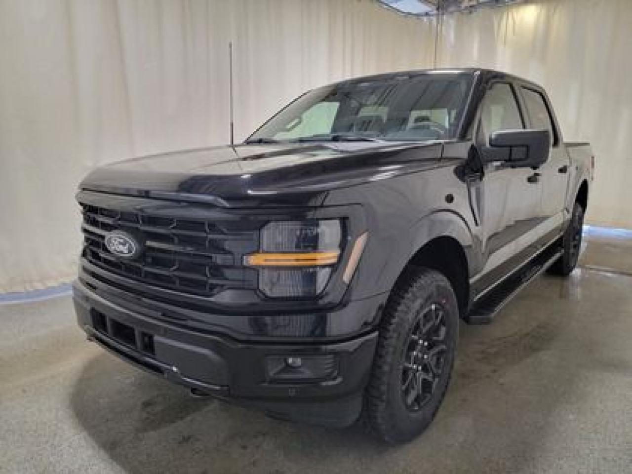 New 2025 Ford F-150 XLT W/ BLACK APPEARANCE PACKAGE for sale in Regina, SK