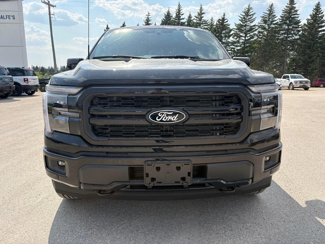2025 Ford F-150 Lariat 4WD SuperCrew 5.5' Box Photo2