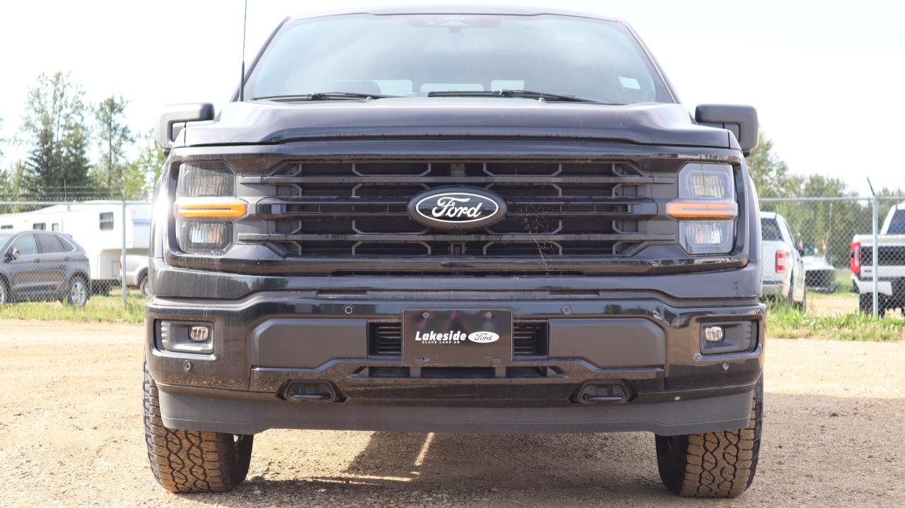 2025 Ford F-150 XLT Photo