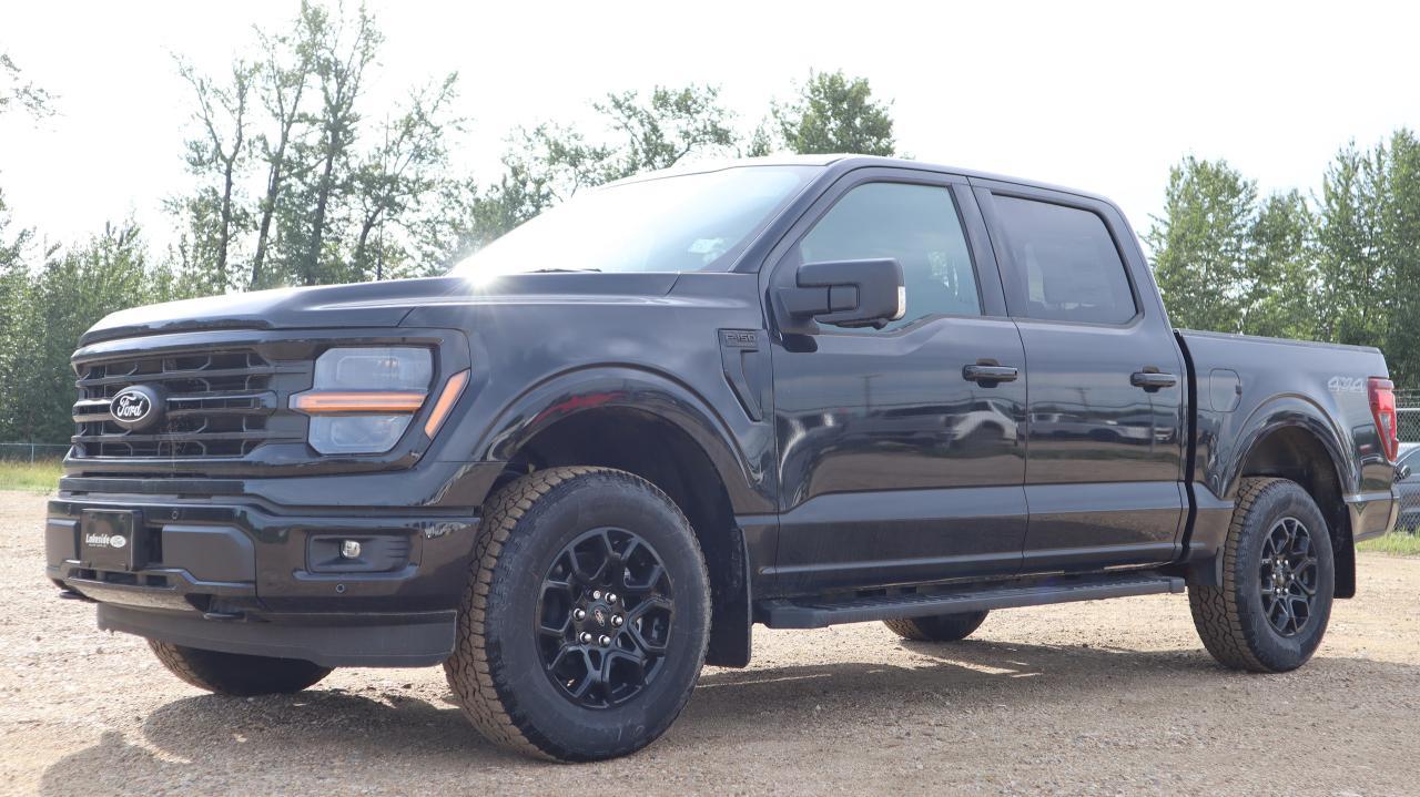 2025 Ford F-150 XLT Photo5