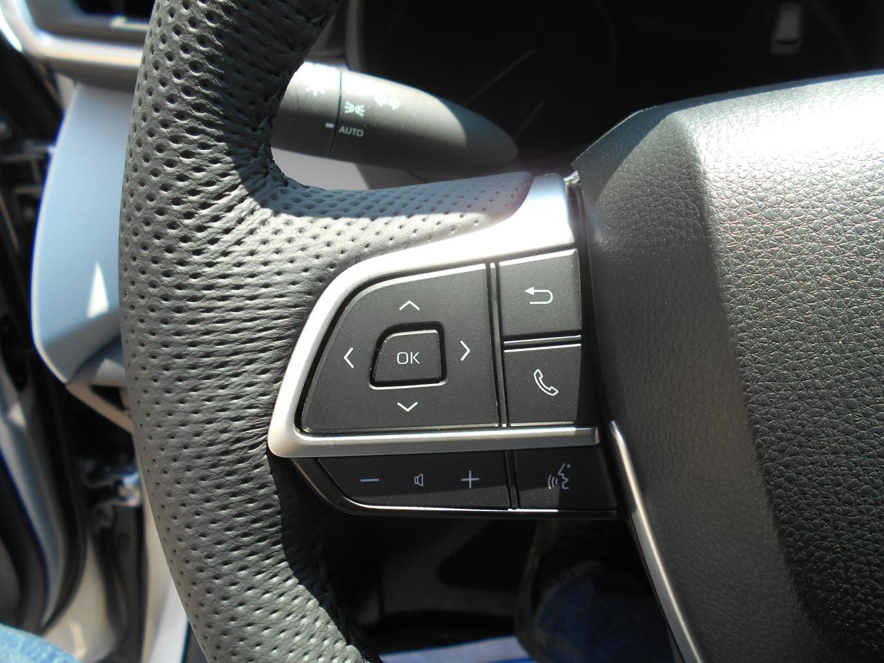 2025 Toyota Sienna XLE-Wheelchair Accessible Side Entry-Power Photo