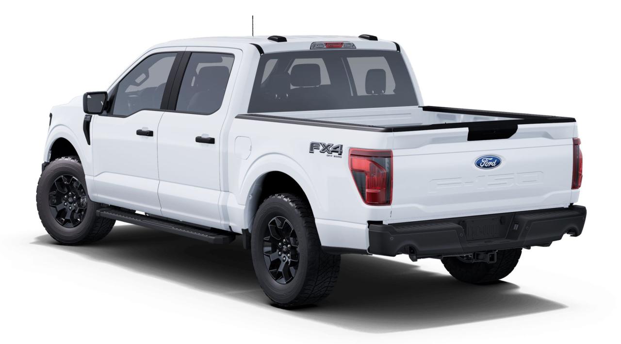 2025 Ford F-150 4X4 SUPERCREW - 145 Photo