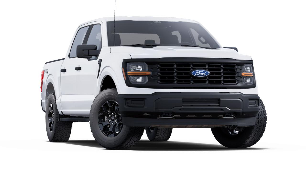 2025 Ford F-150 4X4 SUPERCREW - 145 Photo