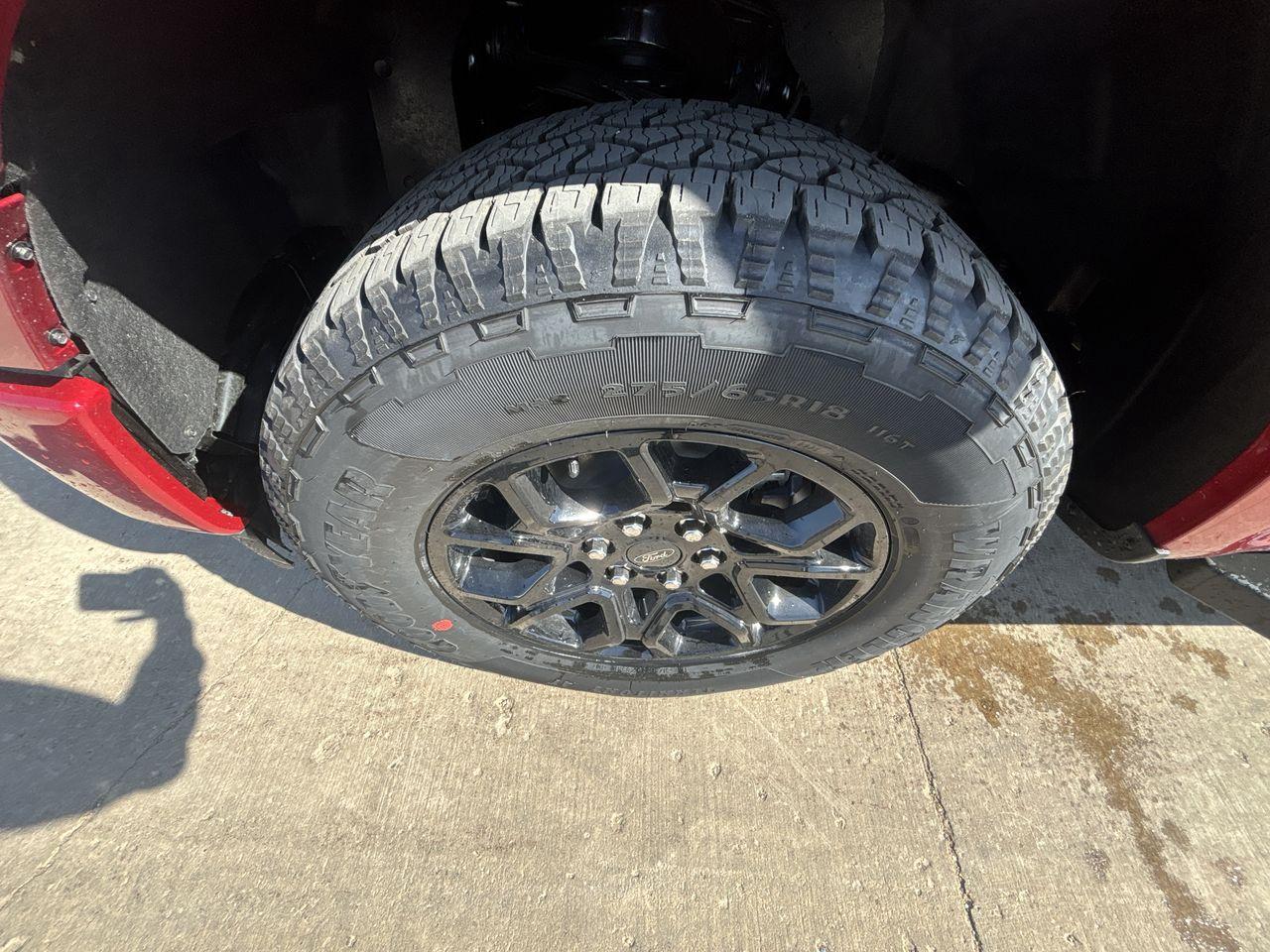 2025 Ford F-150 4x4 Supercrew-145 Photo5
