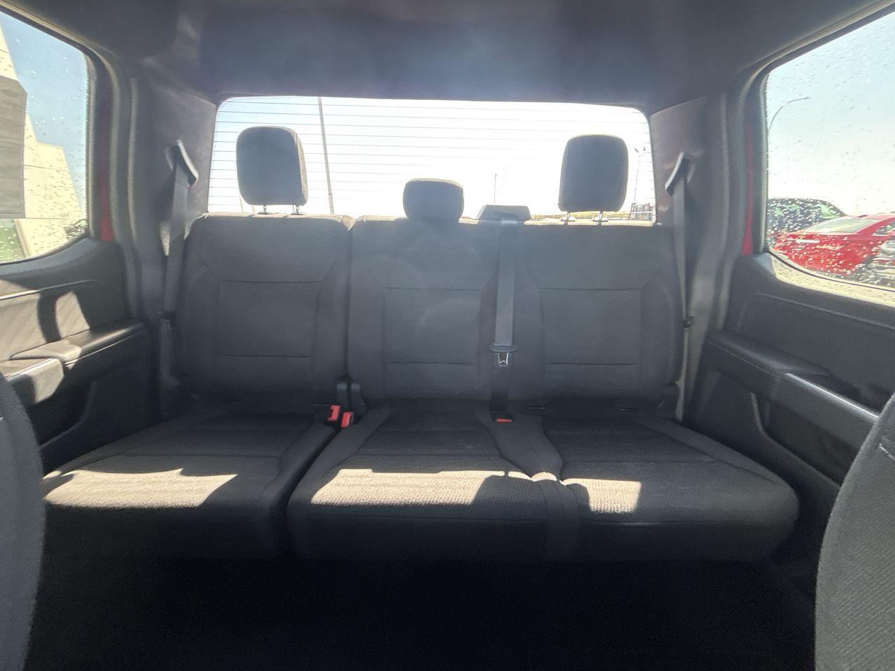 2025 Ford F-150 4x4 Supercrew-145 Photo5