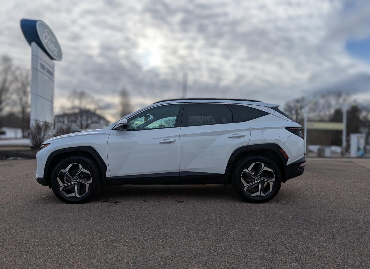 2023 Hyundai Tucson Hybrid Ultimate Photo5