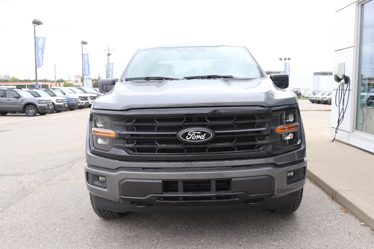 2025 Ford F-150 XLT 4WD SuperCrew 5.5' Box Photo4