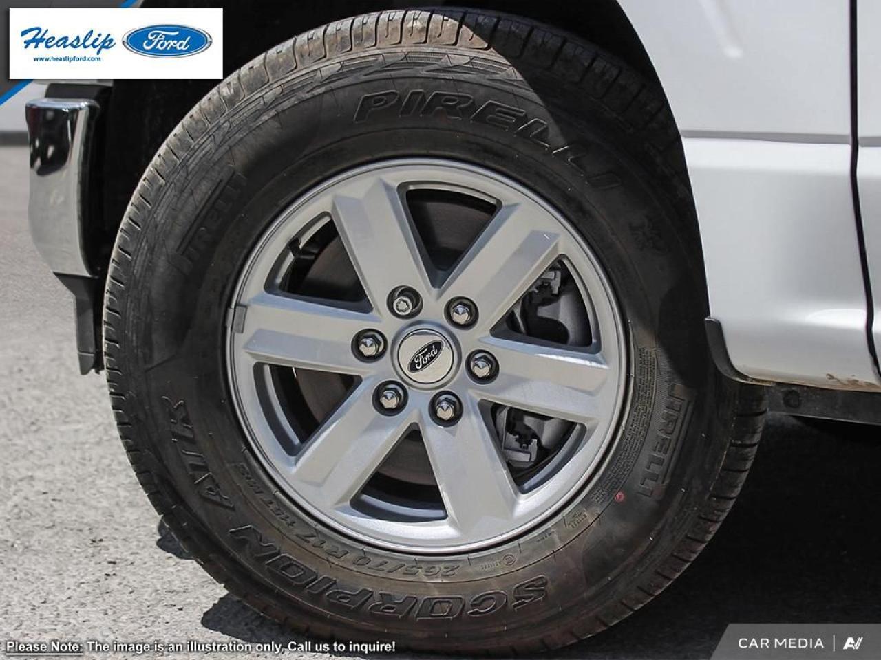 2025 Ford F-150 XL Photo5