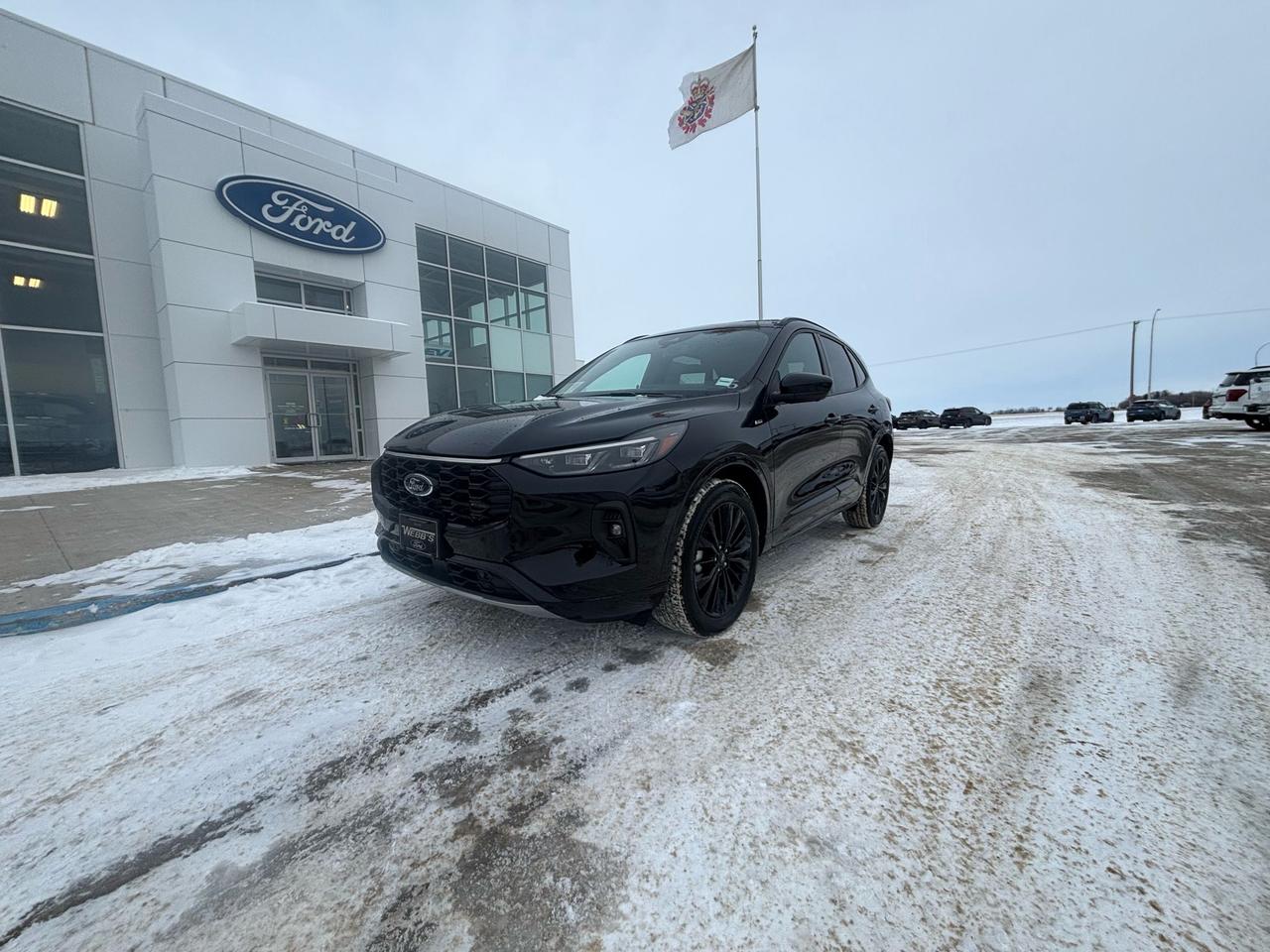 <p>Get ready to turn heads with this sleek and powerful 2024 Ford Escape ST-Line Elite AWD, now available at Webbs 1441! This brand new SUV boasts a commanding presence with its Agate Black exterior and a luxurious Ebony interior featuring heated leather-trimmed front sport contour seats. The Escape ST-Line Elite is built for adventure, equipped with a robust 2.0L EcoBoost engine paired with an 8-speed automatic transmission and all-wheel drive for confident handling in any condition.</p><p>&nbsp;</p><p>Step inside and experience the premium technology package, complete with a panoramic vista roof that floods the cabin with natural light. The Escape ST-Line Elite is designed for both comfort and practicality, featuring an easy access cargo shade and a Class II trailer tow package for hauling your gear. This is more than just an SUV; its a statement of style and capability.</p><p>&nbsp;</p><p><strong>Here are 5 features that will make you fall in love with the 2024 Ford Escape ST-Line Elite AWD:</strong></p><p><br><br></p><ol><ol><li><strong>Agate Black Exterior:</strong> Turn heads with a sleek and sophisticated exterior color.</li></ol></ol><p>&nbsp;</p><ol><ol><li><strong>Heated Leather-Trimmed Front Sport Contour Seats:</strong> Experience ultimate comfort and style with heated leather seats.</li></ol></ol><p>&nbsp;</p><ol><ol><li><strong>Power Open/Close Panoramic Vista Roof:</strong> Enjoy breathtaking views and a bright, airy cabin.</li></ol></ol><p>&nbsp;</p><ol><ol><li><strong>Class II Trailer Tow Package:</strong> Ready for adventure? Tow your gear with confidence.</li></ol></ol><p>&nbsp;</p><ol><ol><li><strong>Premium Technology Package:</strong> Stay connected and entertained with advanced technology features.</li></ol></ol><p><br><br></p><p>Visit Webbs 1441 today to experience the 2024 Ford Escape ST-Line Elite AWD for yourself!</p><p>&nbsp;</p><p><em>Powered by AutoIntelligence&trade; AI</em></p><p>&nbsp;</p>