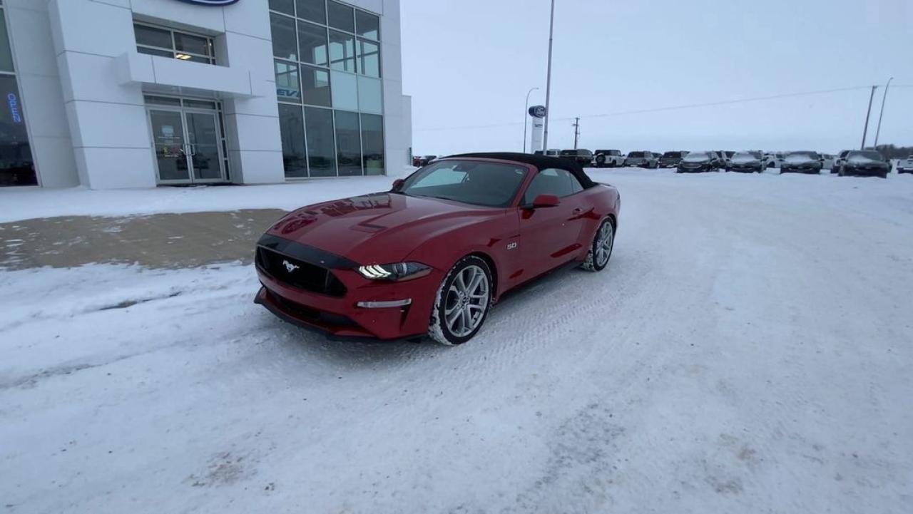 2022 Ford Mustang  Photo