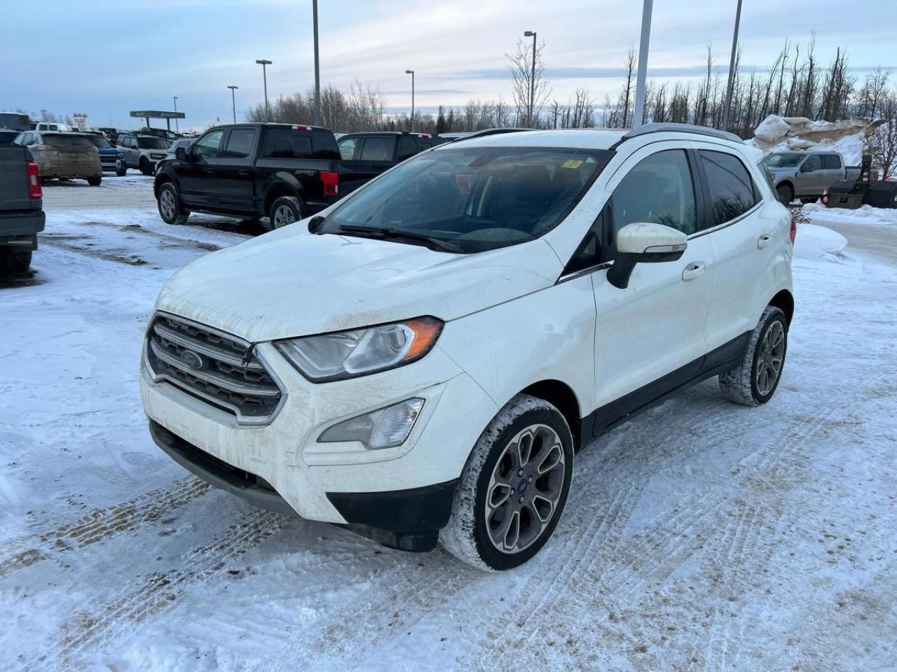 Used 2019 Ford EcoSport Titanium AWD for sale in Brandon, MB