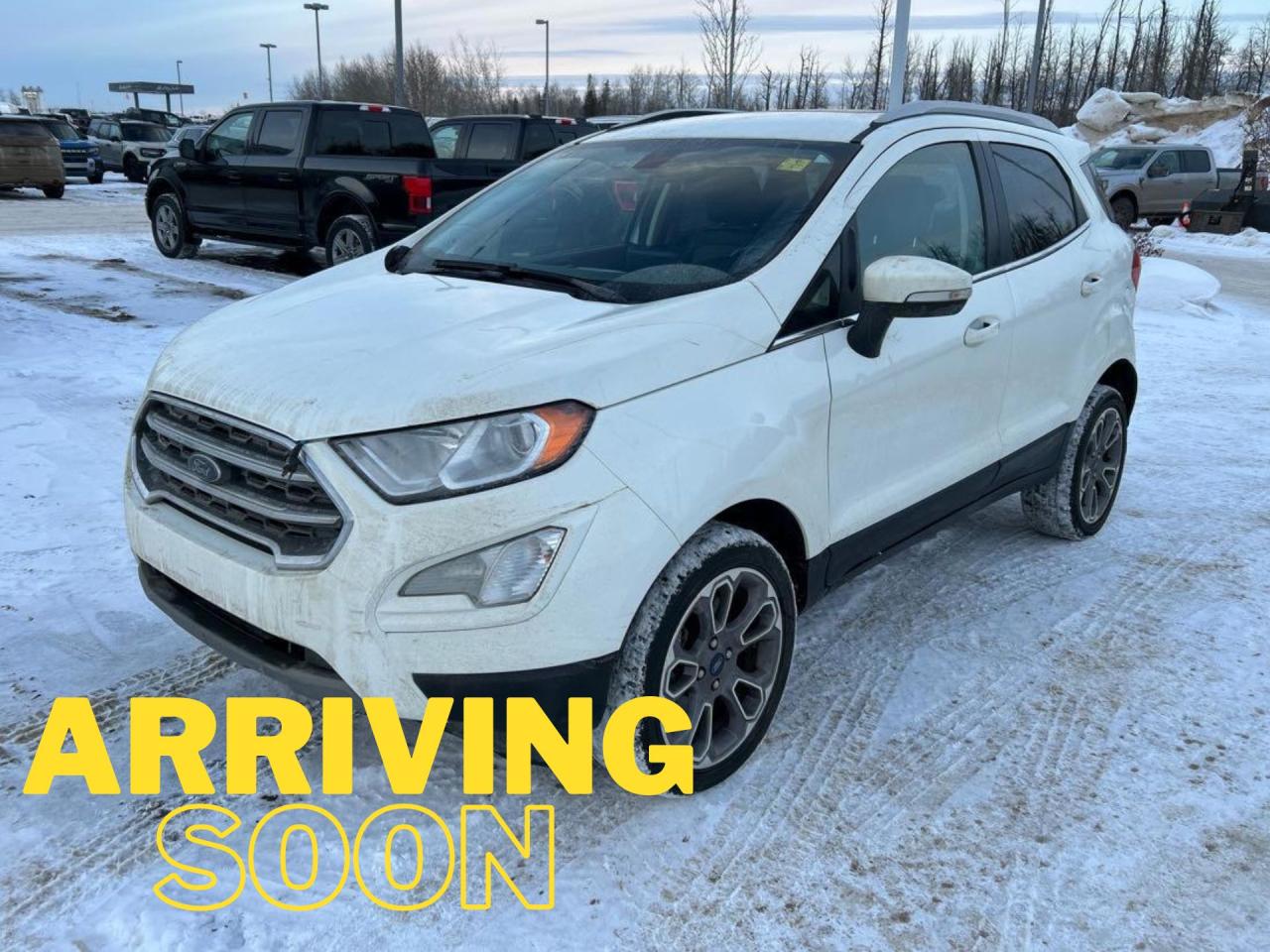 Used 2019 Ford EcoSport Titanium AWD for sale in Brandon, MB