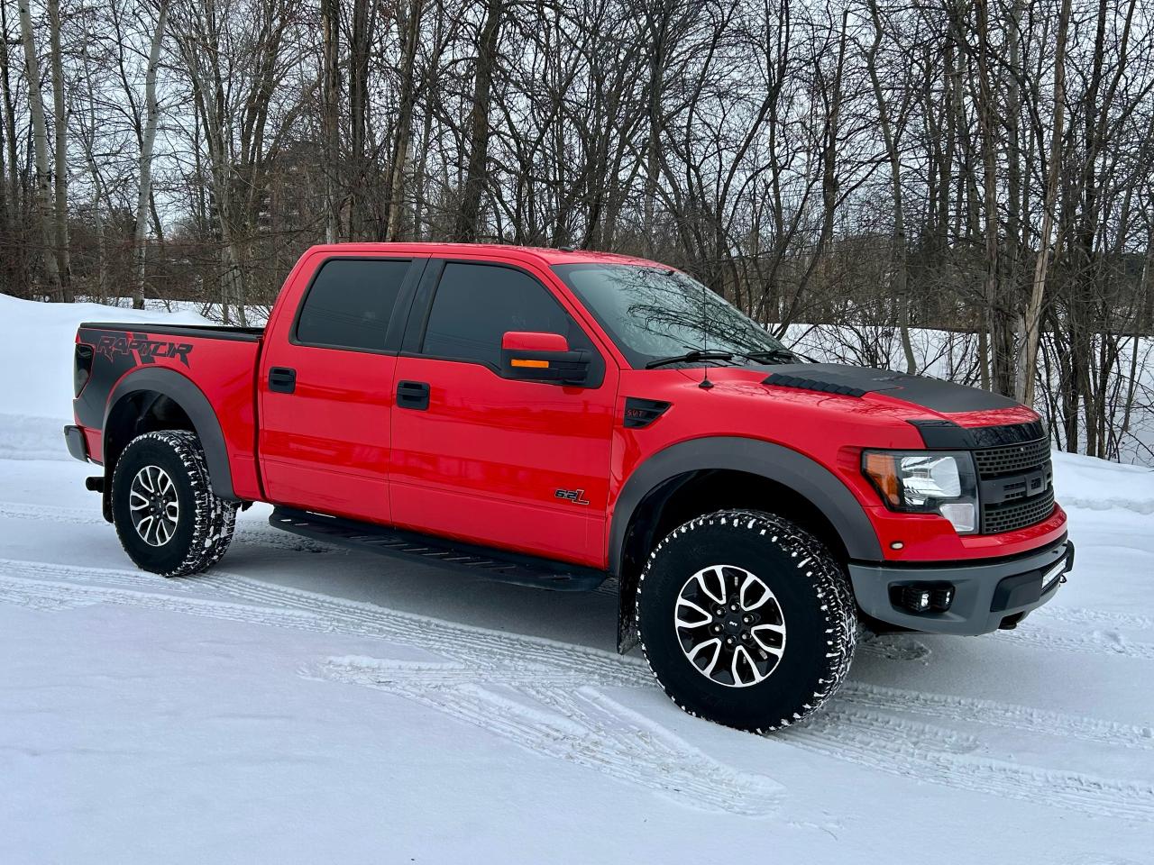 2012 Ford F-150 SVT RAPTOR - Photo #5