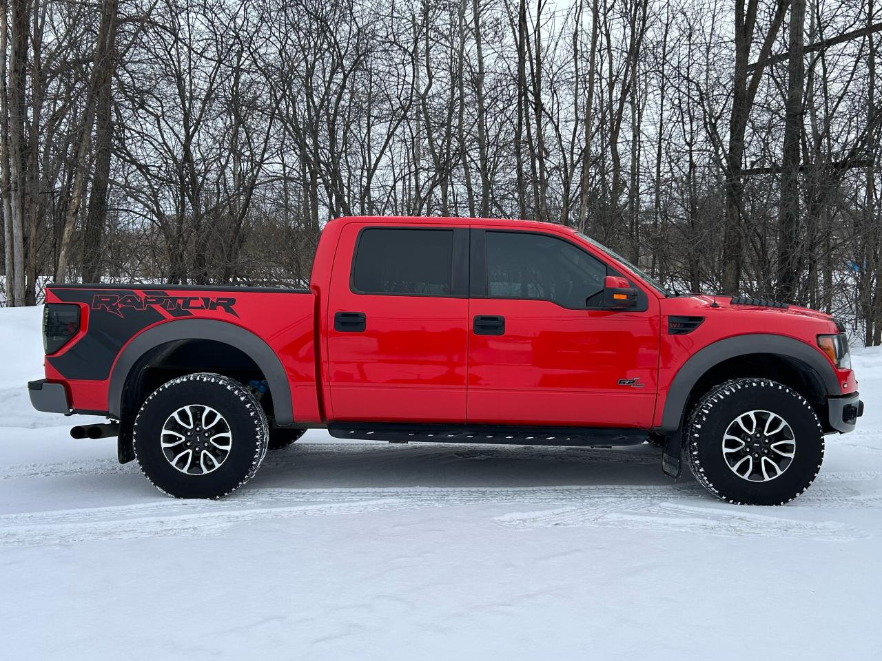 2012 Ford F-150 SVT RAPTOR - Photo #6