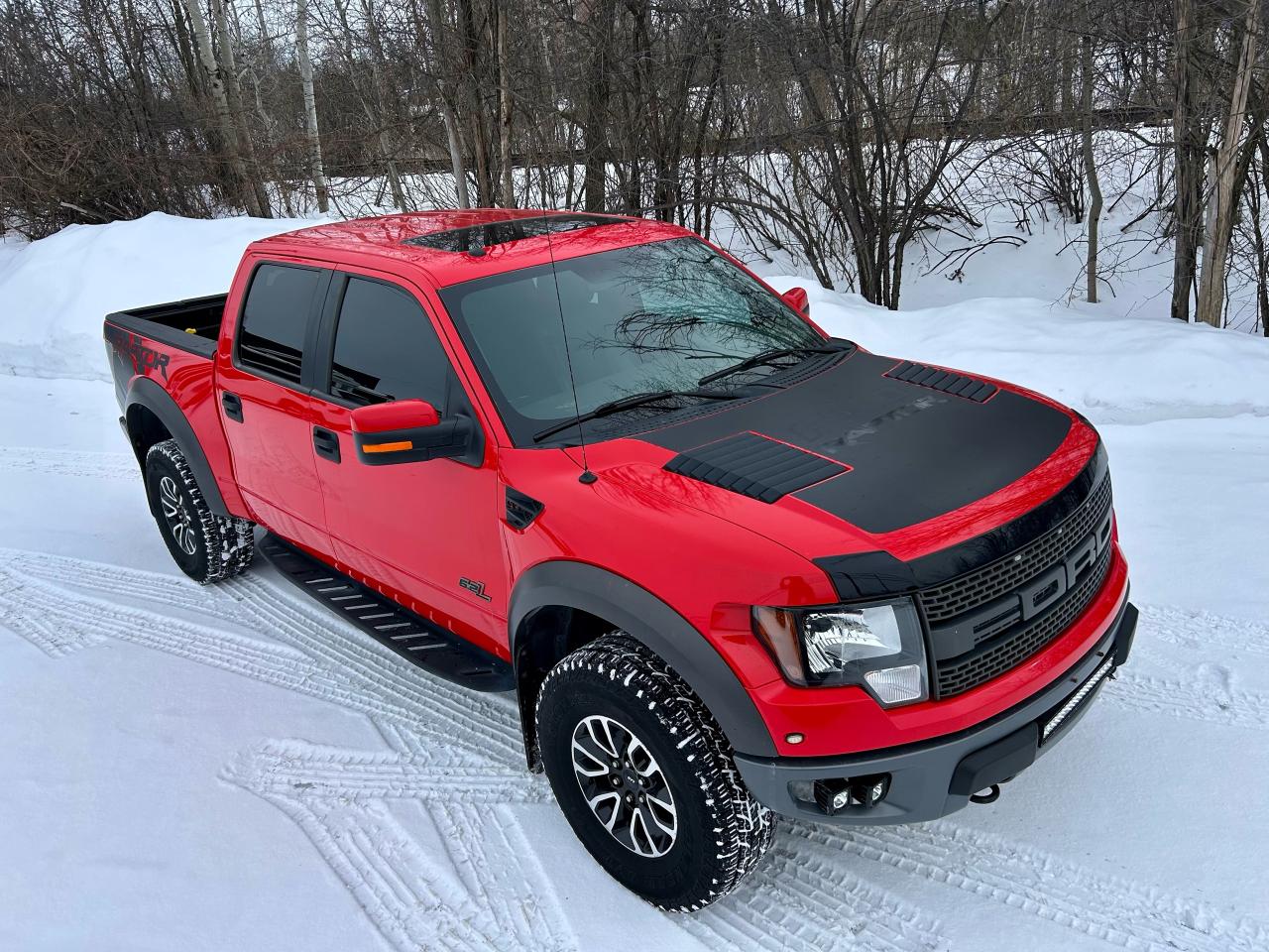 2012 Ford F-150 SVT RAPTOR - Photo #4