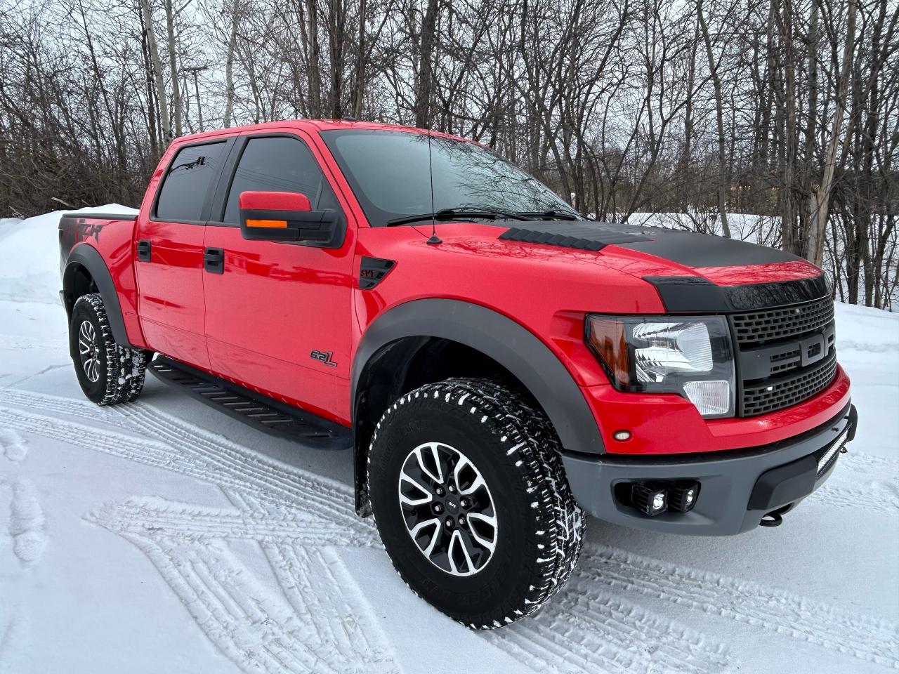 2012 Ford F-150 SVT RAPTOR - Photo #12