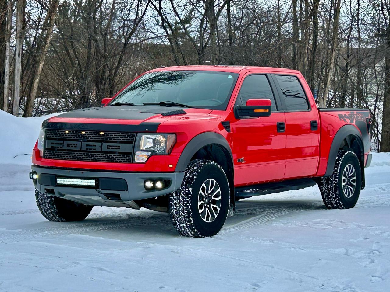 2012 Ford F-150 SVT RAPTOR - Photo #18