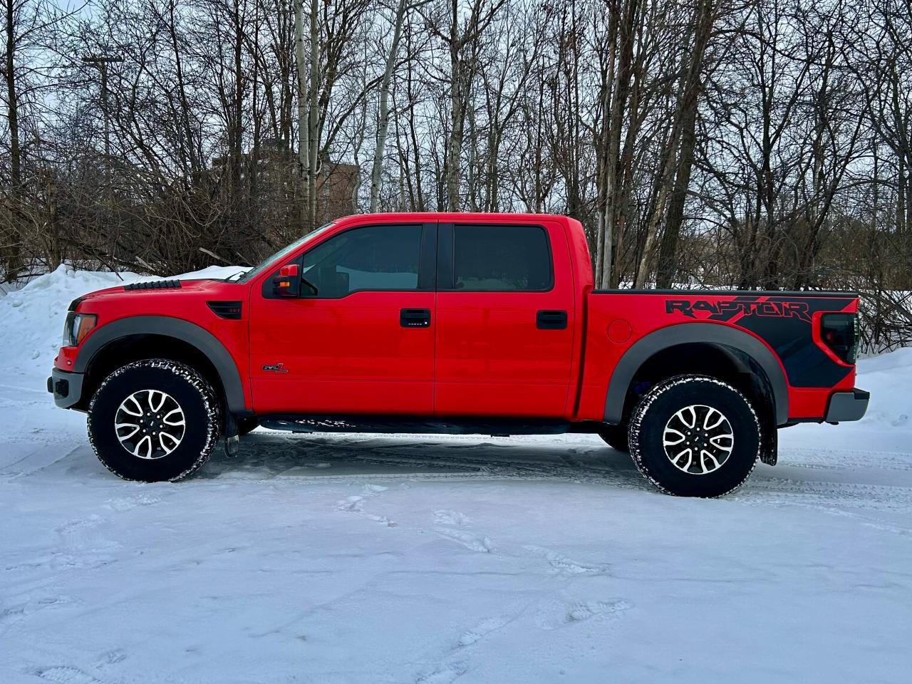 2012 Ford F-150 SVT RAPTOR - Photo #16