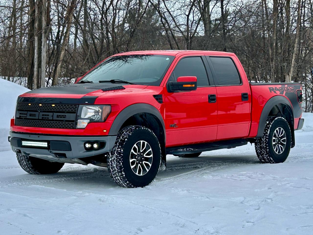 2012 Ford F-150 SVT RAPTOR - Photo #19