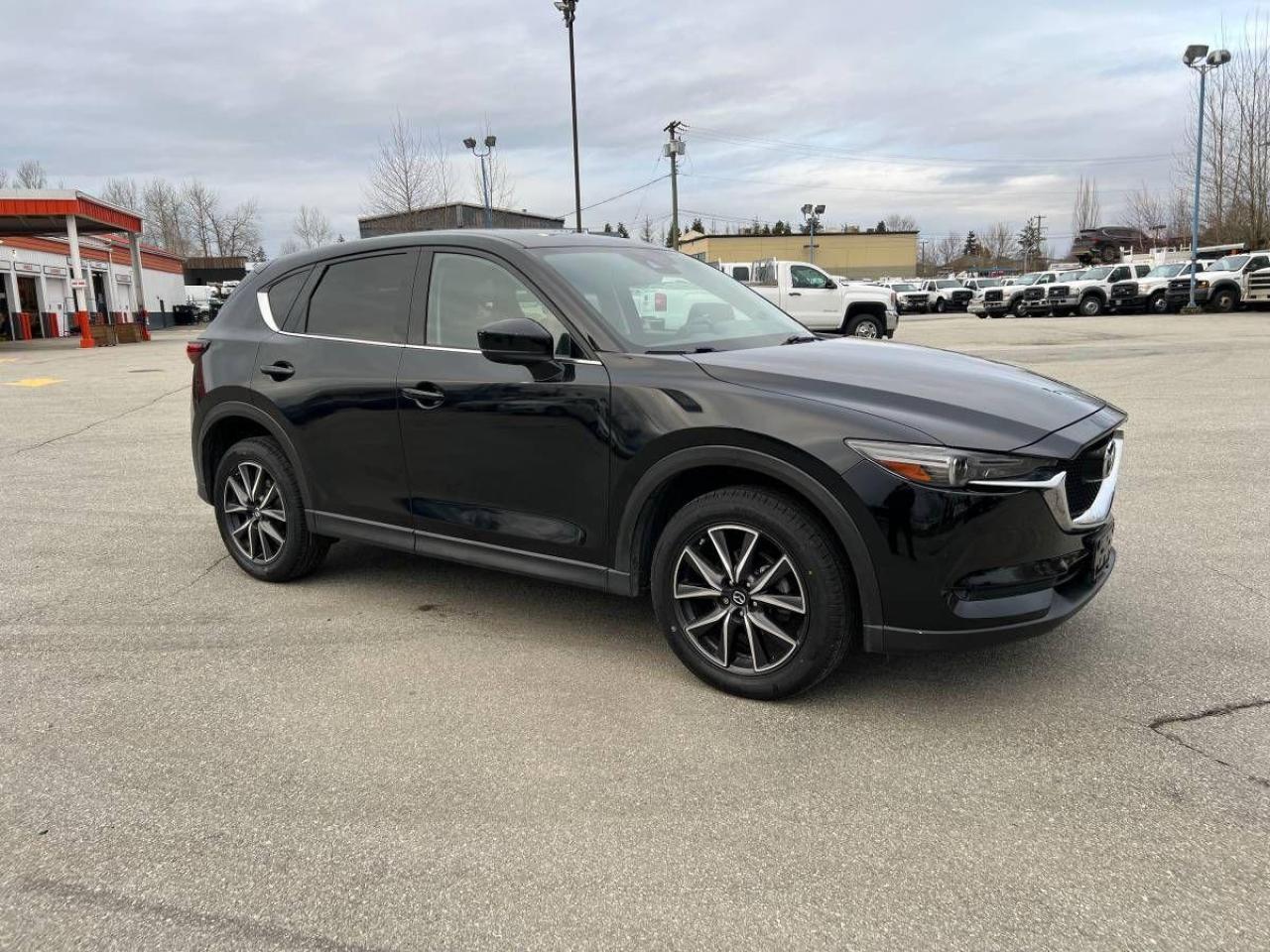 2017 Mazda CX-5 AWD 4dr Auto GT - Photo #10