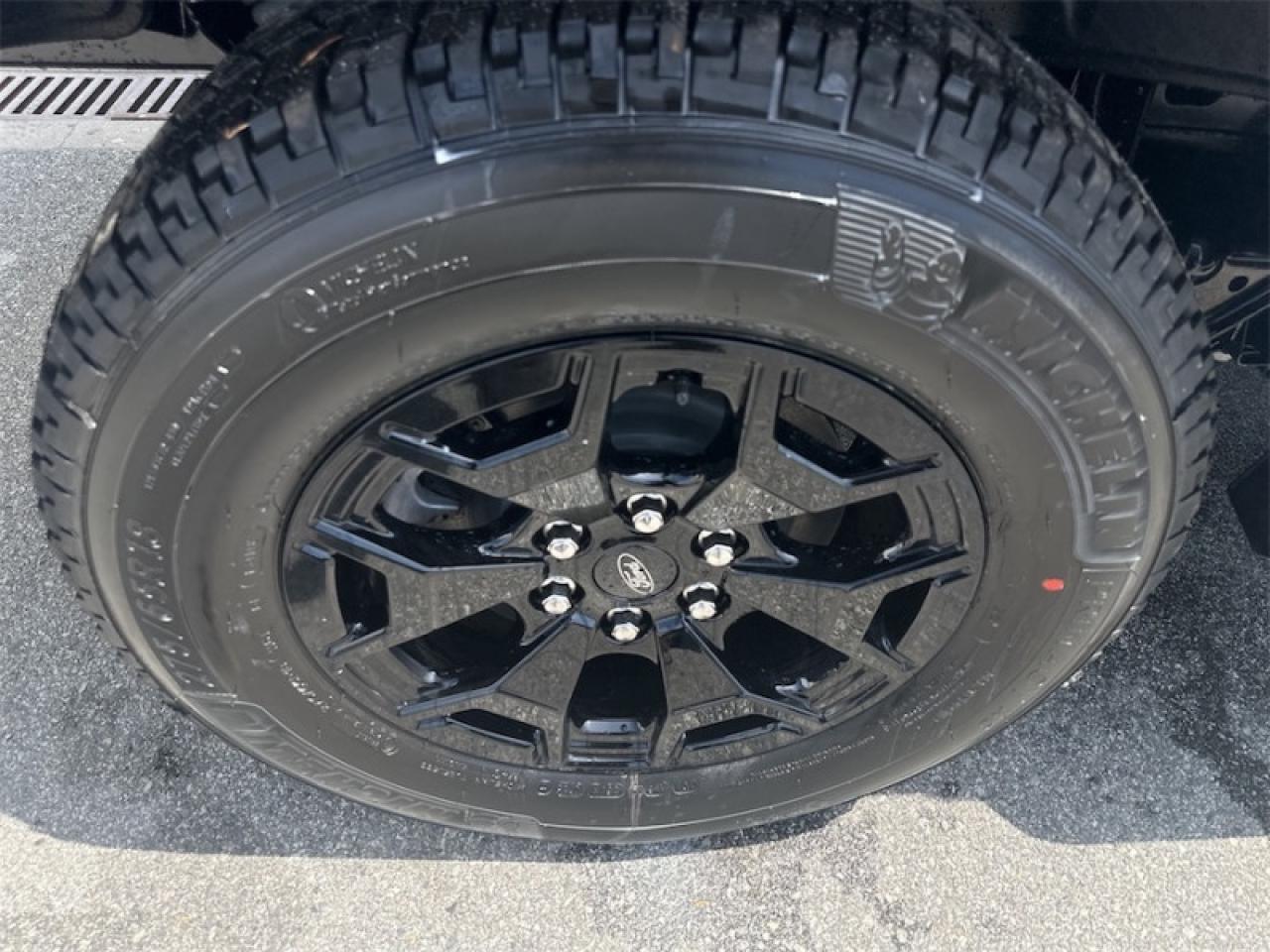 2025 Ford F-150 Lightning XLT  - Tailgate Step Photo5