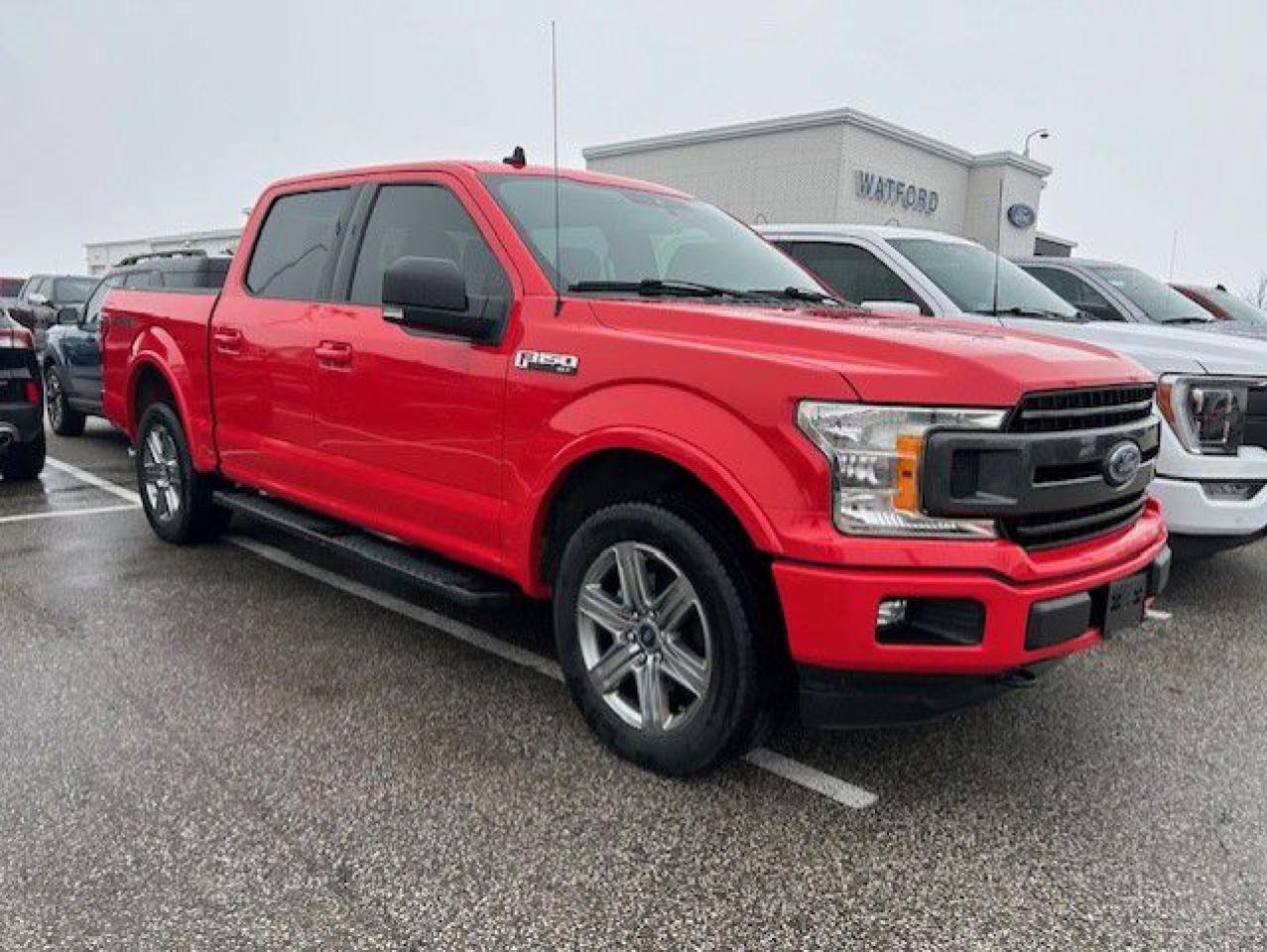 Used 2019 Ford F-150 XLT cabine SuperCrew 4RM caisse de 5,5 pi for sale in Watford, ON