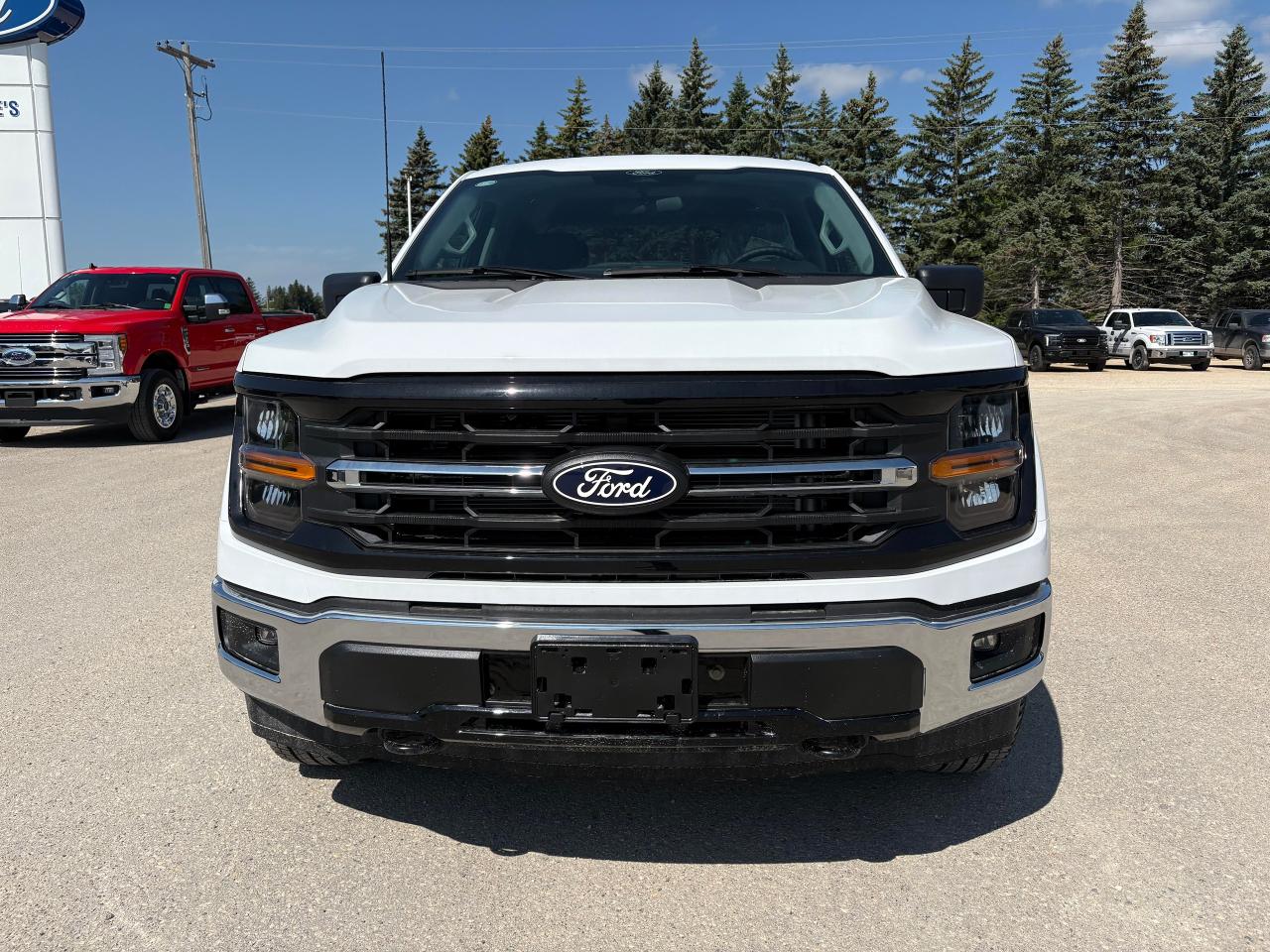 2025 Ford F-150 XLT 4WD SuperCrew 6.5' Box Photo5