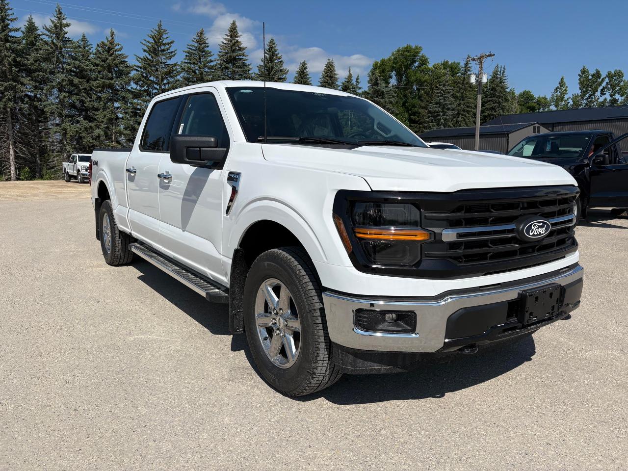 2025 Ford F-150 XLT 4WD SuperCrew 6.5' Box Photo3