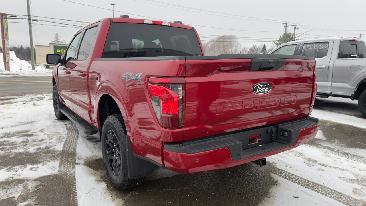 2025 Ford F-150 XLT Photo