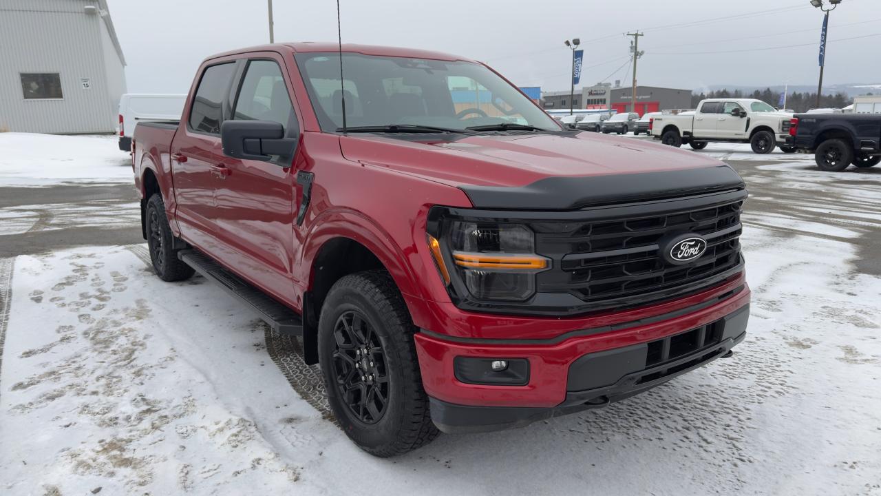 2025 Ford F-150 XLT Photo