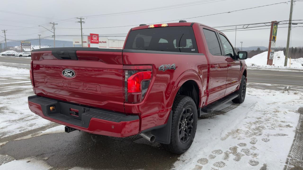 2025 Ford F-150 XLT Photo