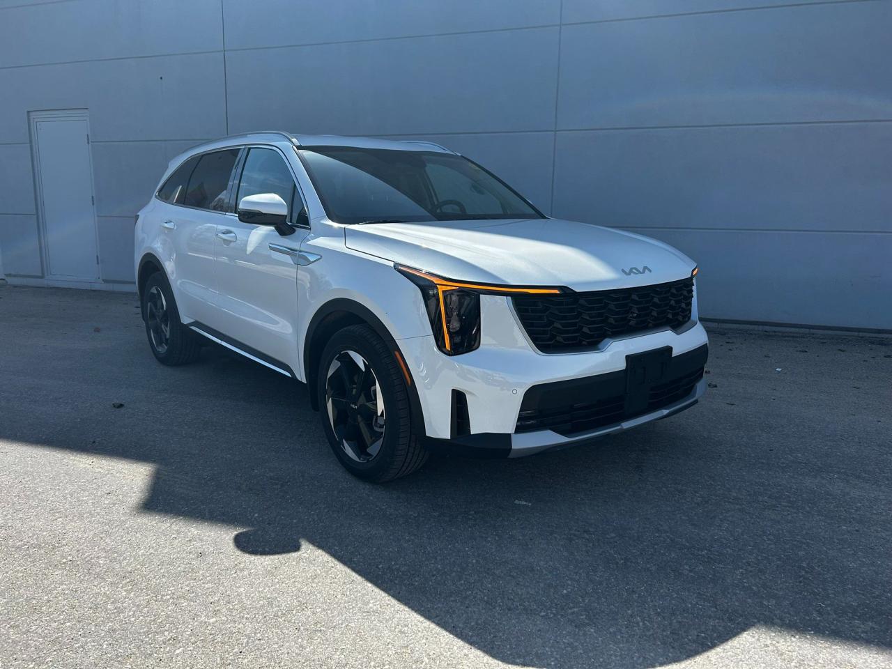 New 2025 Kia Sorento Hybrid EX for sale in Listowel, ON