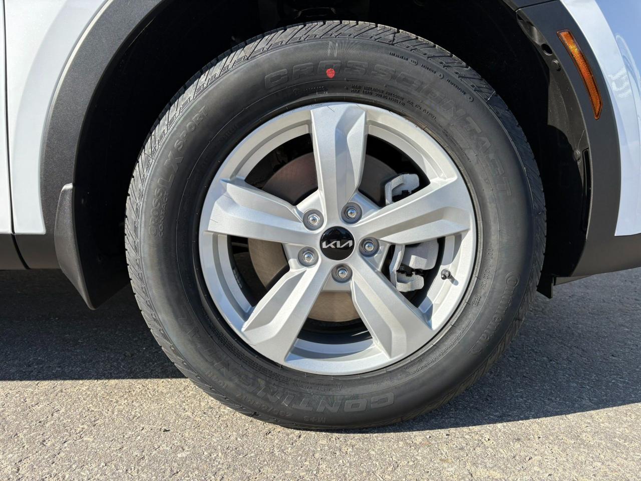 12235624