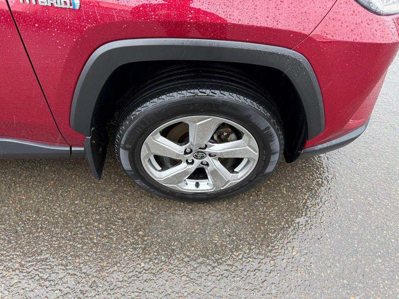 2021 Toyota RAV4 Hybrid Limited Photo3