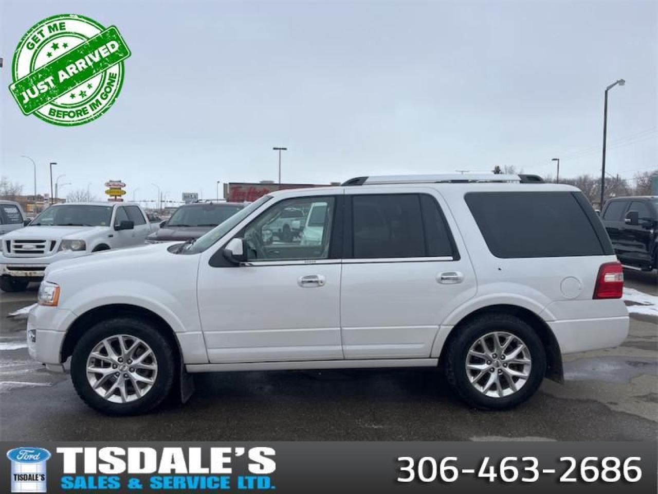 Used 2017 Ford Expedition Limited  - Sunroof -  Navigation for sale in Kindersley, SK