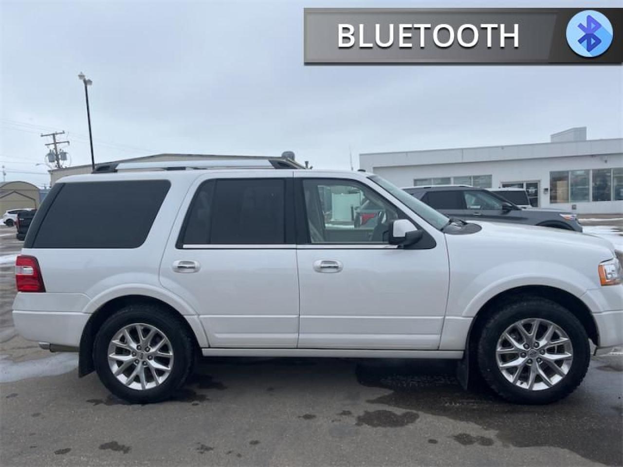 2017 Ford Expedition Limited  - Sunroof -  Navigation Photo