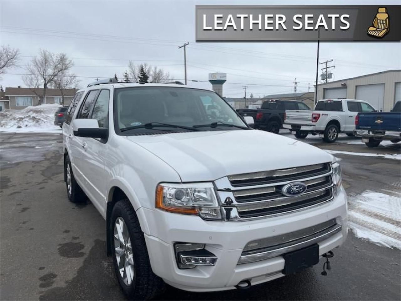 2017 Ford Expedition Limited  - Sunroof -  Navigation Photo