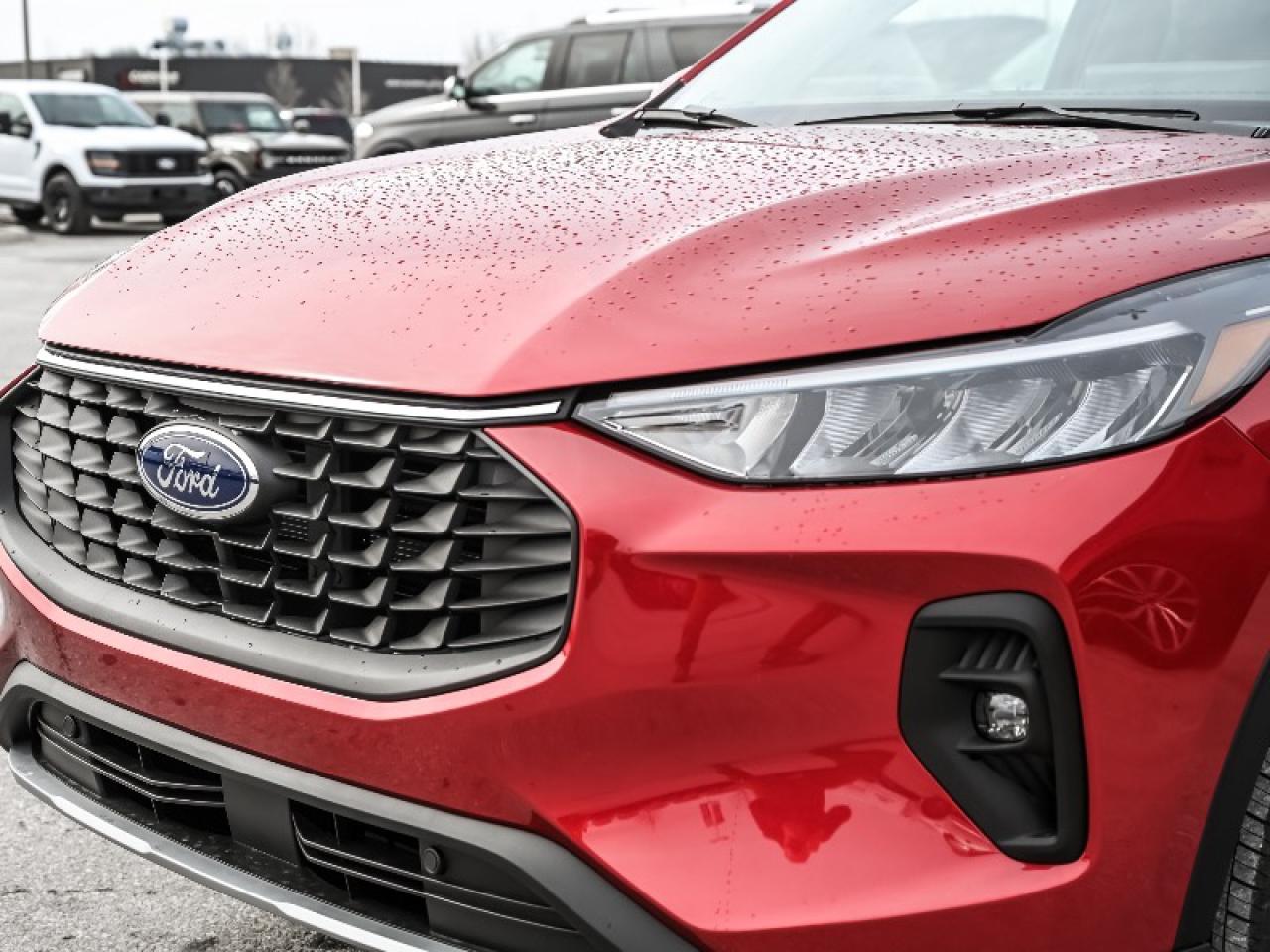 2025 Ford Escape PHEV Photo