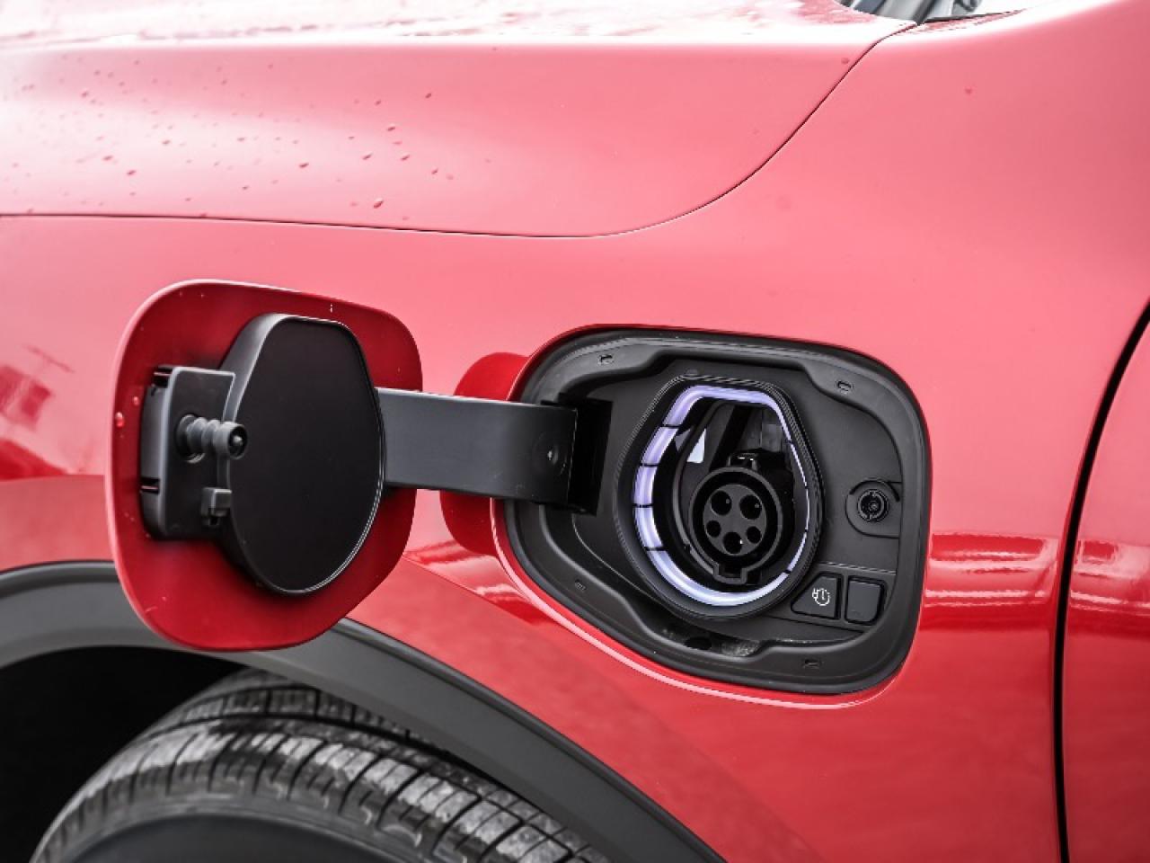 2025 Ford Escape PHEV Photo